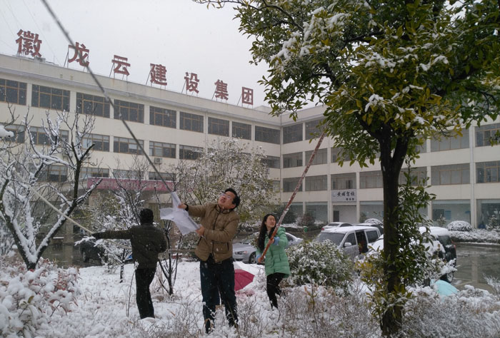 图片关键词