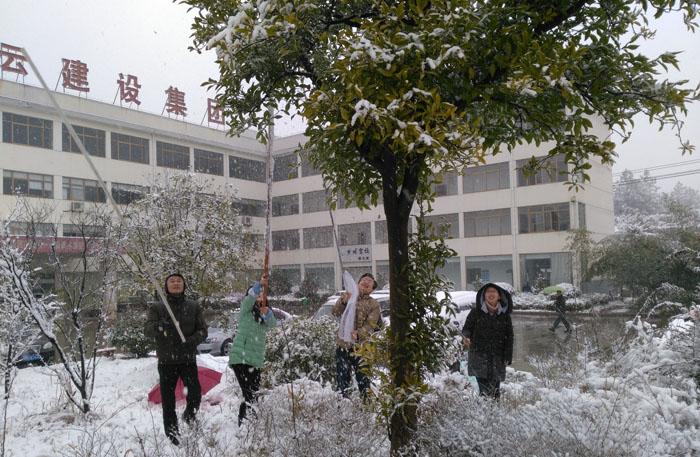 图片关键词
